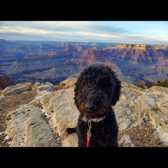 Meet your Posher, Amanda - Picture 1 of 1